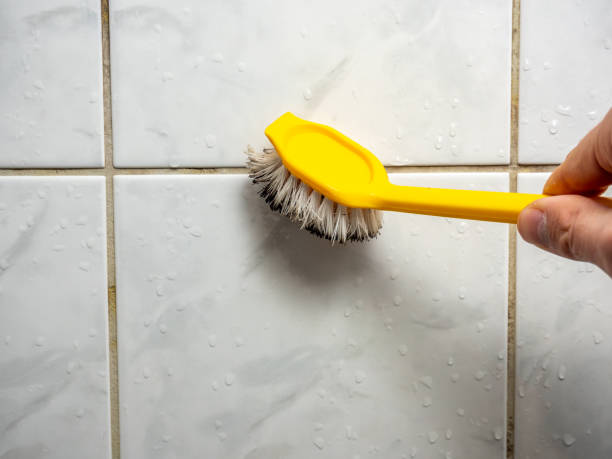 Best Health and Safety Mold Remediation in Seminole, OK