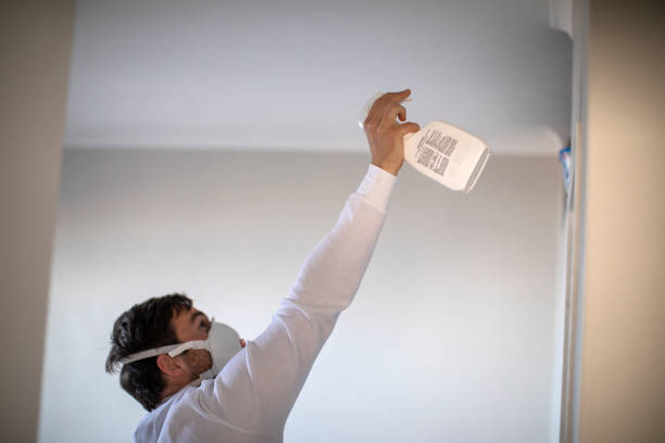 Best Post-Flood Mold Remediation in Seminole, OK